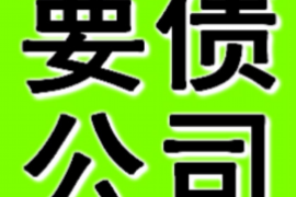 饶平为什么选择专业追讨公司来处理您的债务纠纷？